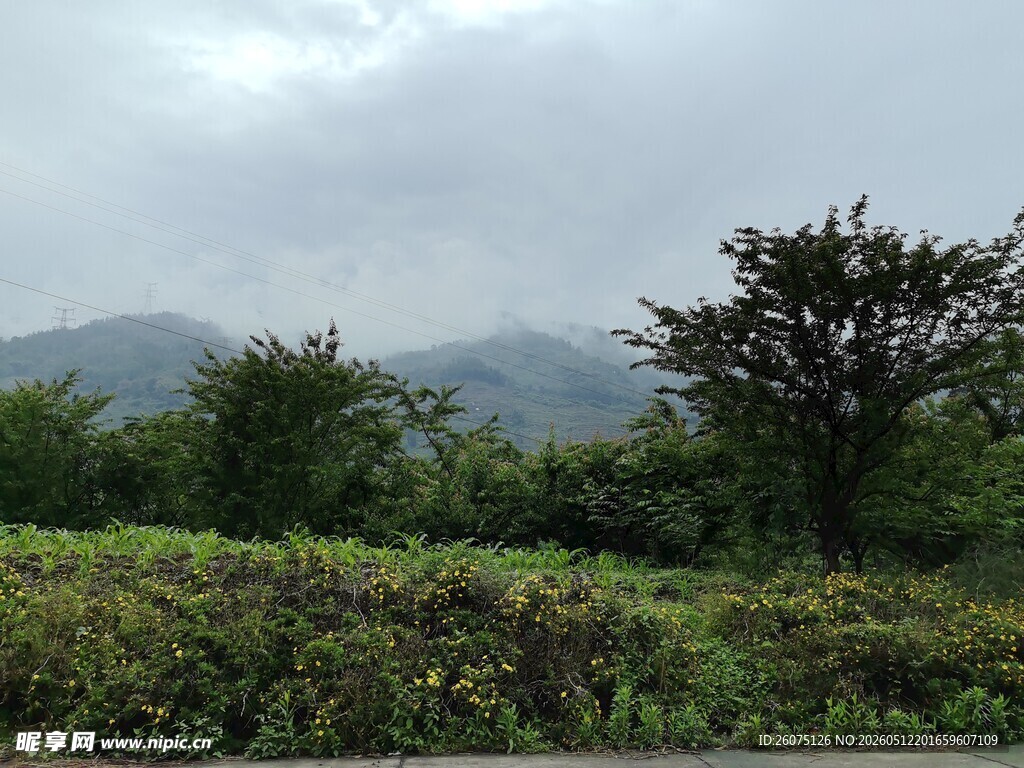 山间绿植与远处朦胧山峦