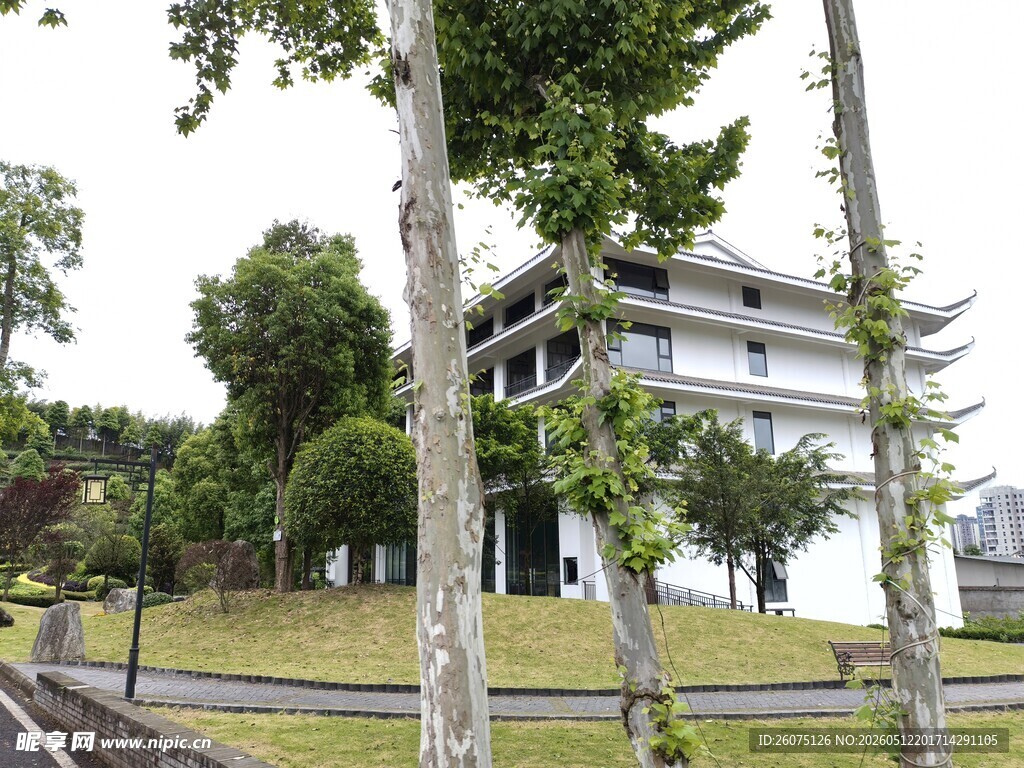 中式建筑旁的绿树景致