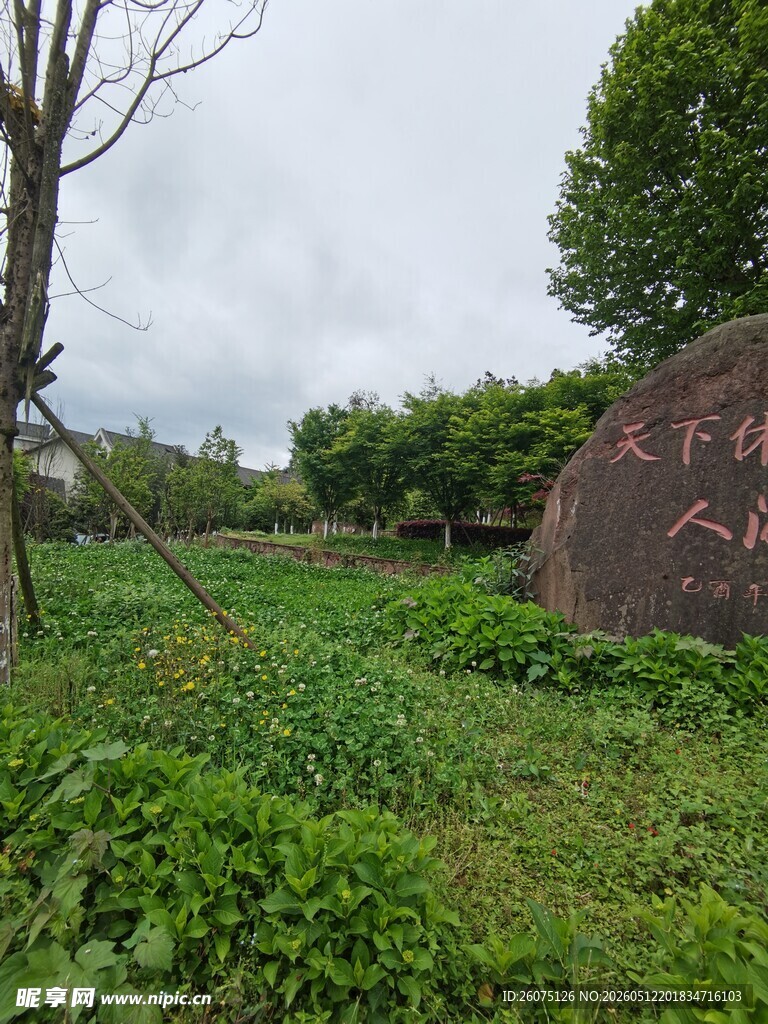 户外绿植旁的刻字巨石