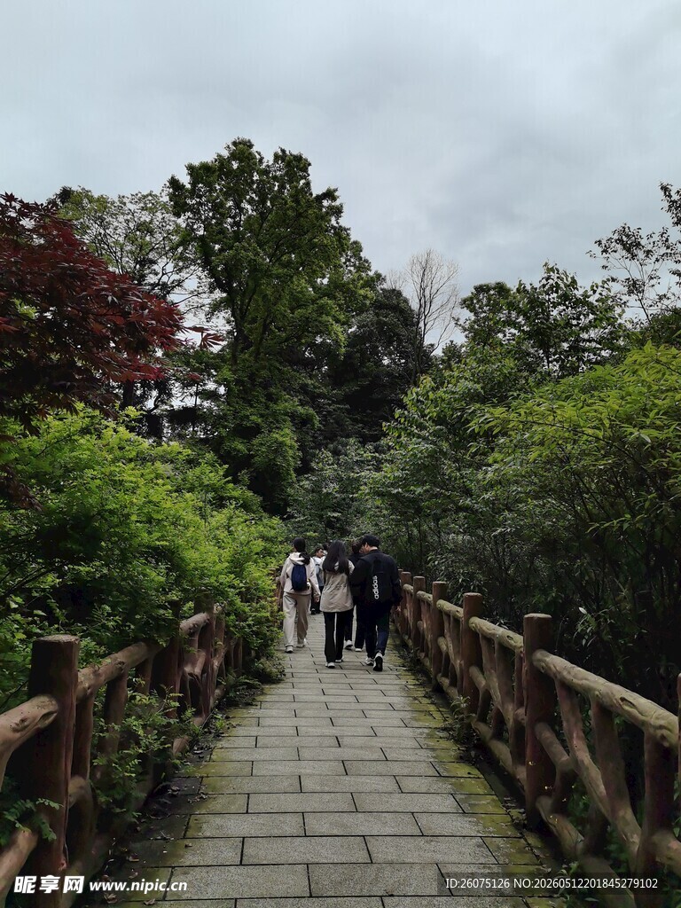 漫步林间步道赏自然景致