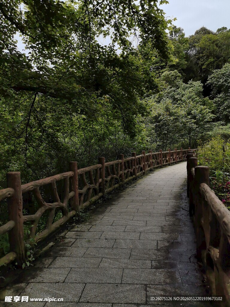 林间木栏步道清幽景致