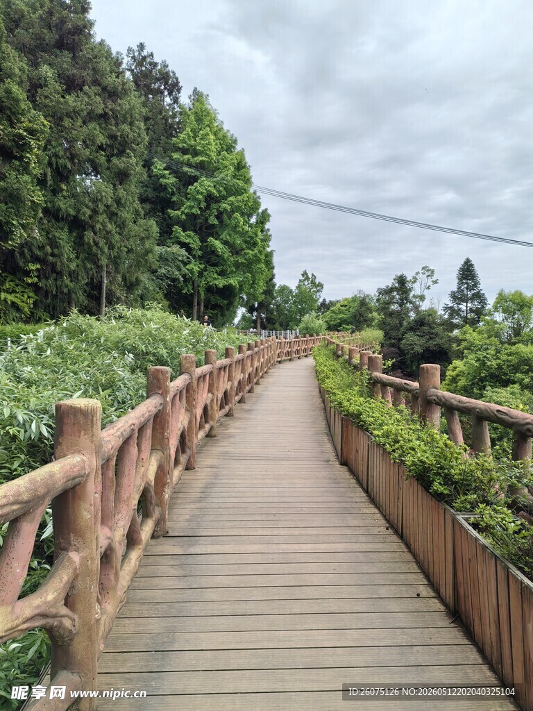 林间木栈道自然美景相伴