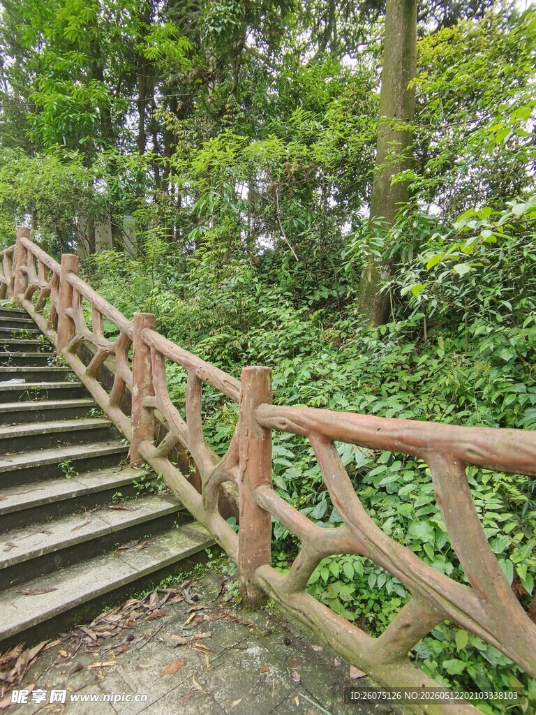 林间木梯漫步自然之径