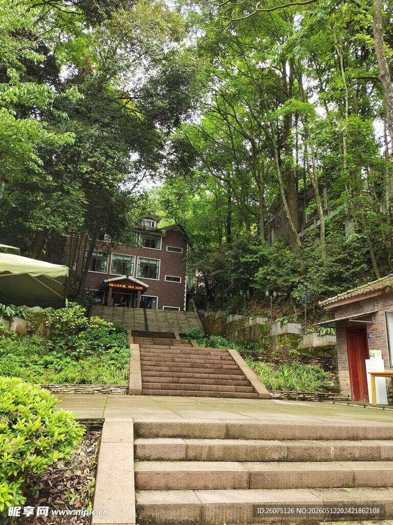 山林中的静谧石阶小道