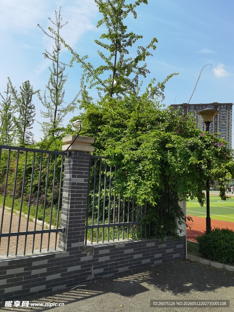 庭院铁门旁绿植环绕景致