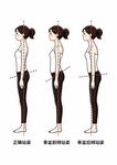 女性体态对比展示图