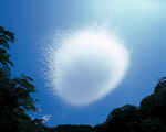 天空中奇异的白色云团