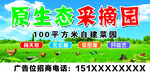 原生态采摘园菜地广告牌