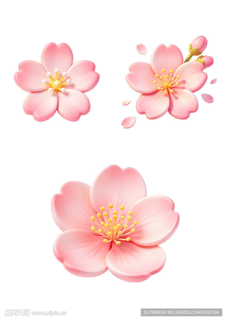 三朵唯美粉色樱花图案