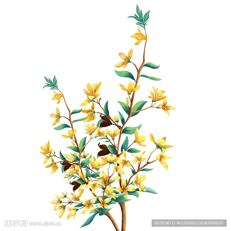 黄色花枝插画清新自然风