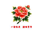 牡丹
