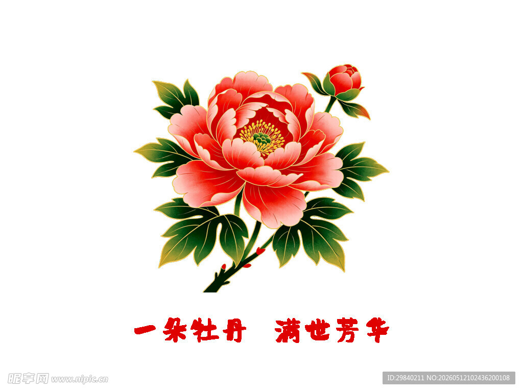 牡丹