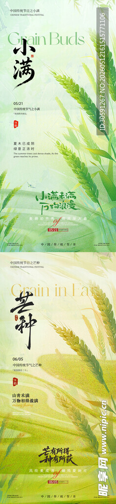 小满  芒种