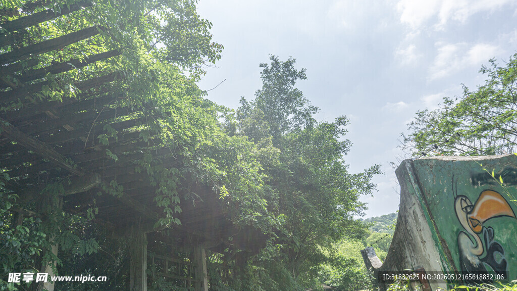 户外绿荫下的休闲场景