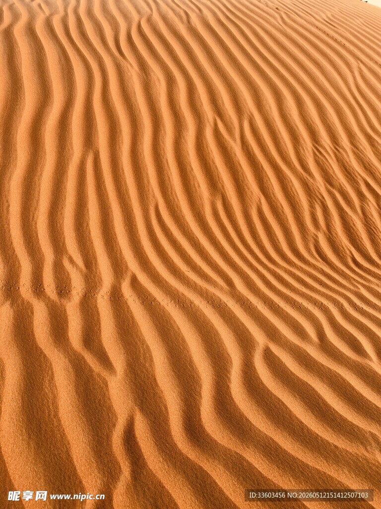 沙漠波纹纹理特写