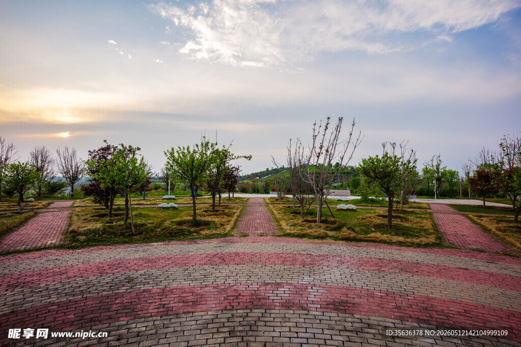 美丽公园景观道路景色