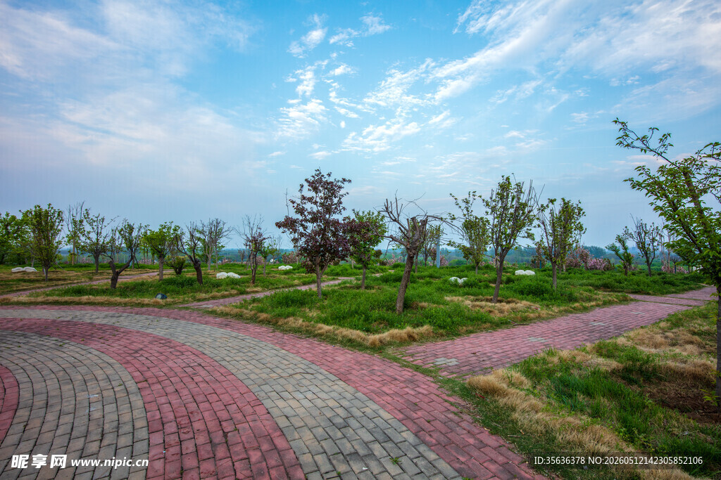 彩色步道旁的清新自然风景