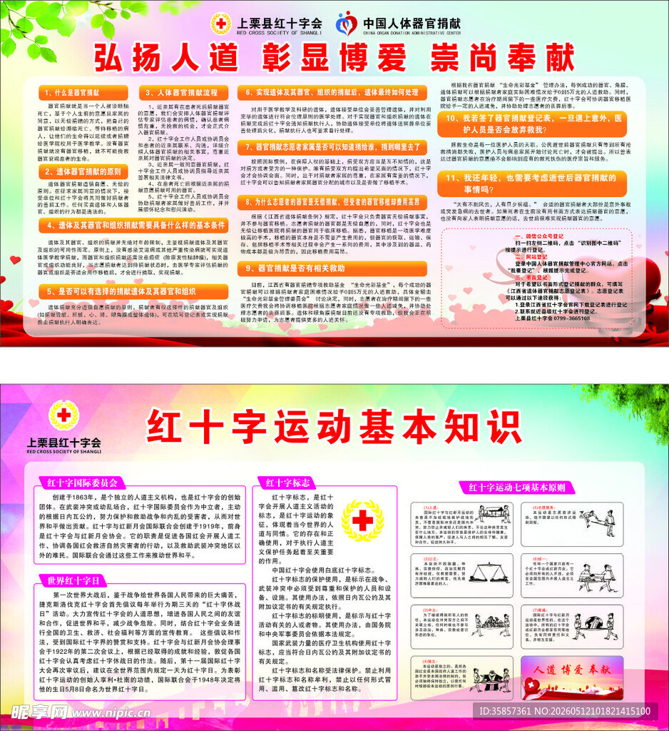 红十字运动基本知识宣传板