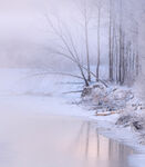 冬日河畔雪景