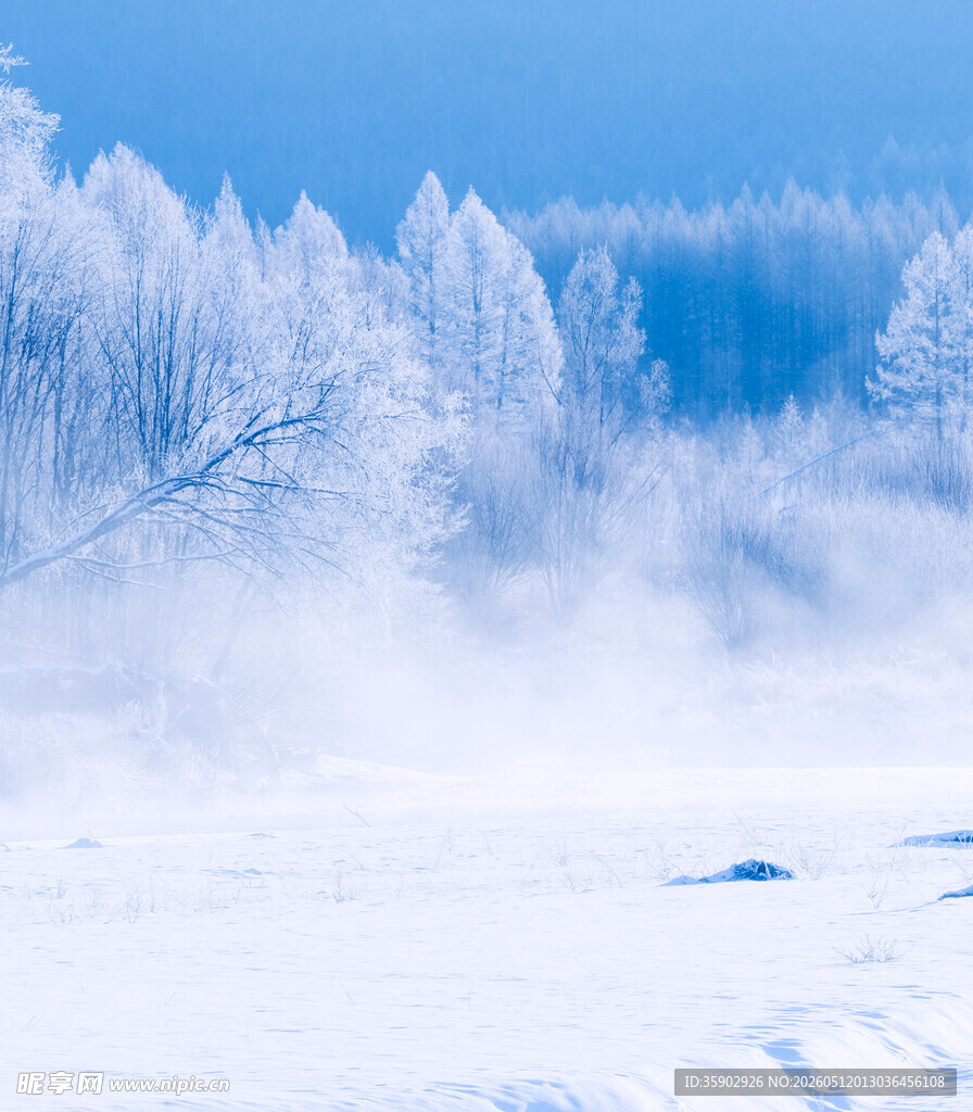 冬日霜林雪景