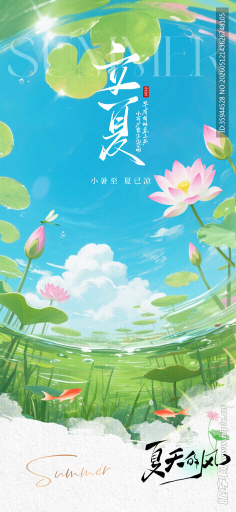 夏日荷塘美景