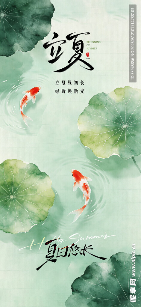 夏日池塘锦鲤游动画面