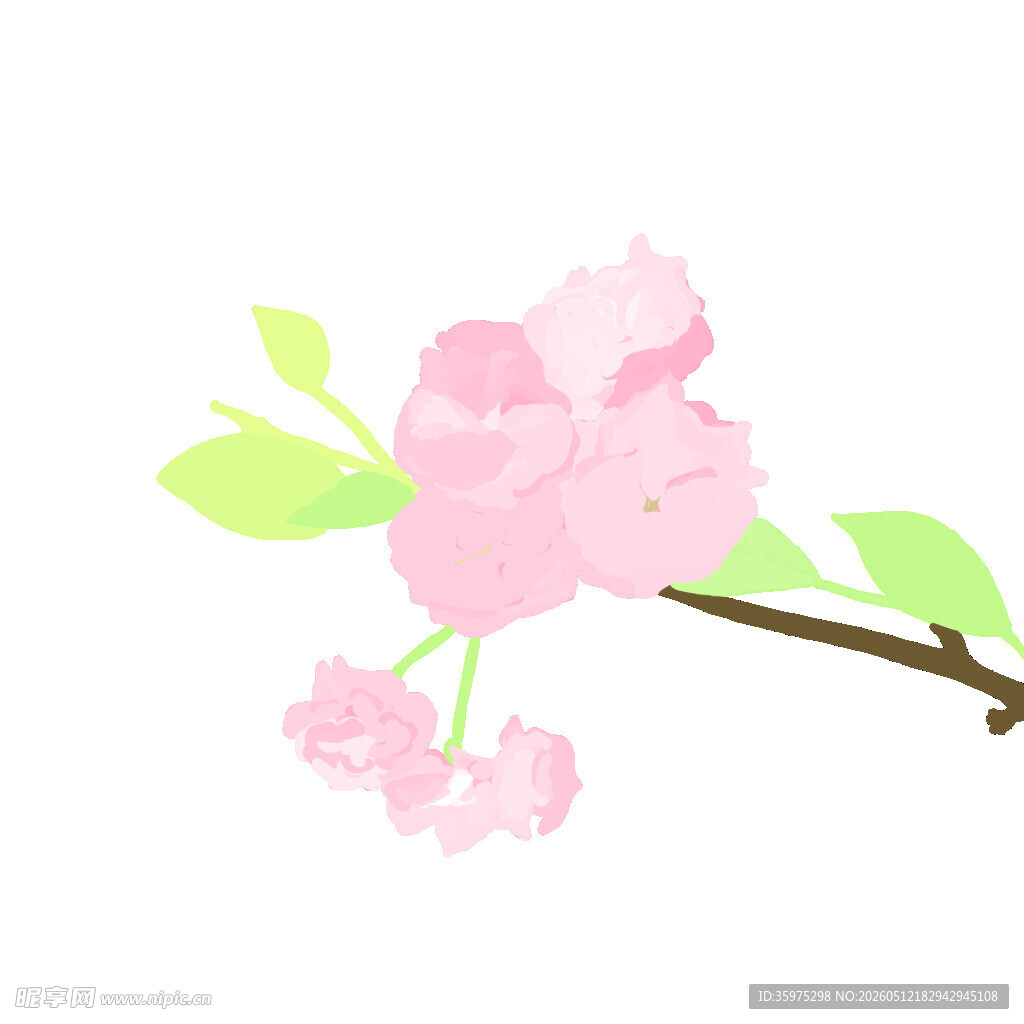 粉色樱花枝插画