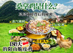 桑拿鸡足火锅天然美味