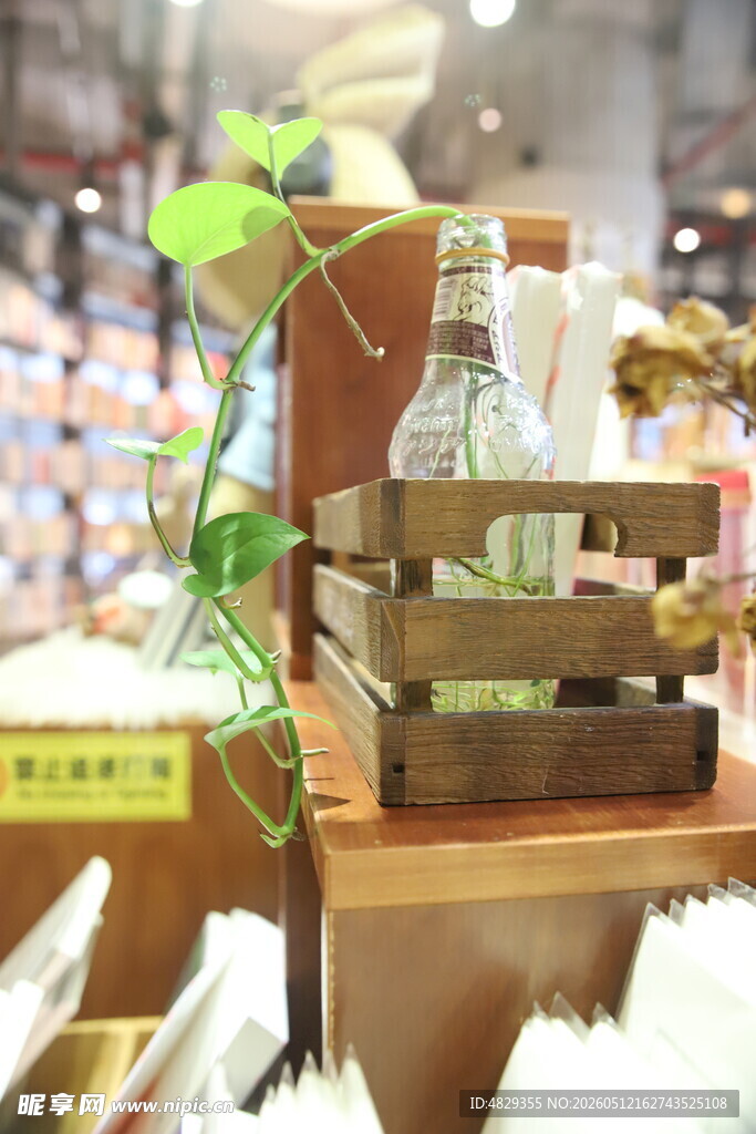 精致绿植摆件展示架