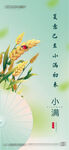 小满节气海报