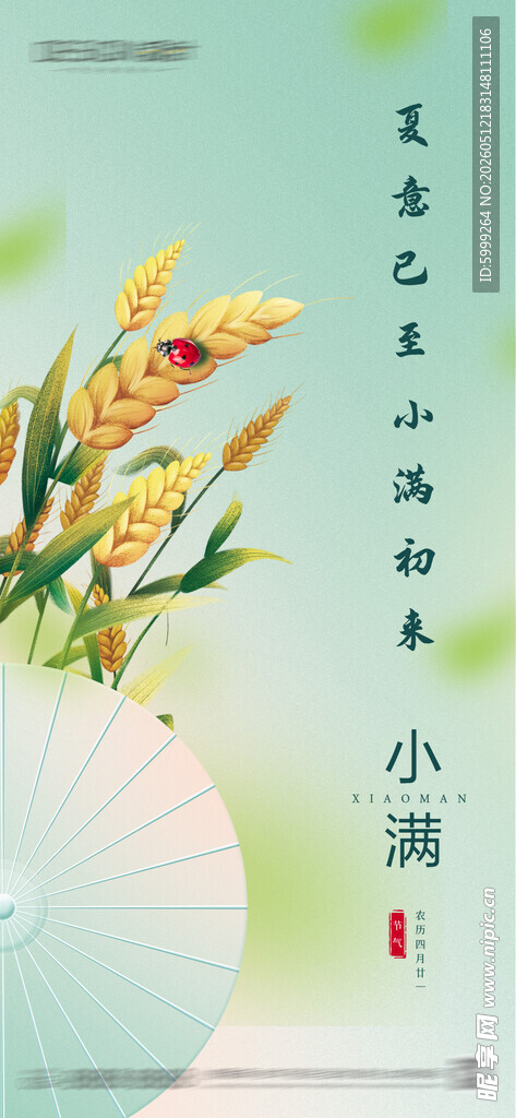 小满节气海报