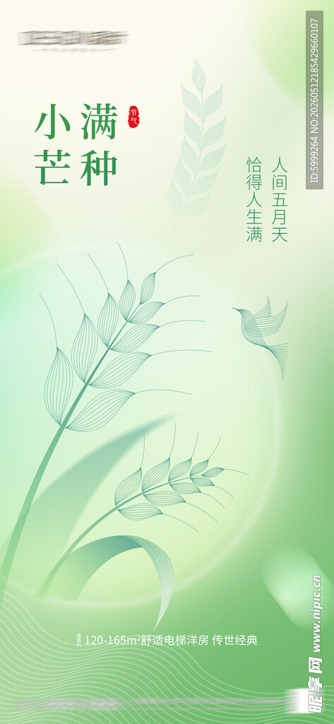 小满芒种节气海报