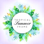 热带夏日水彩边框图案