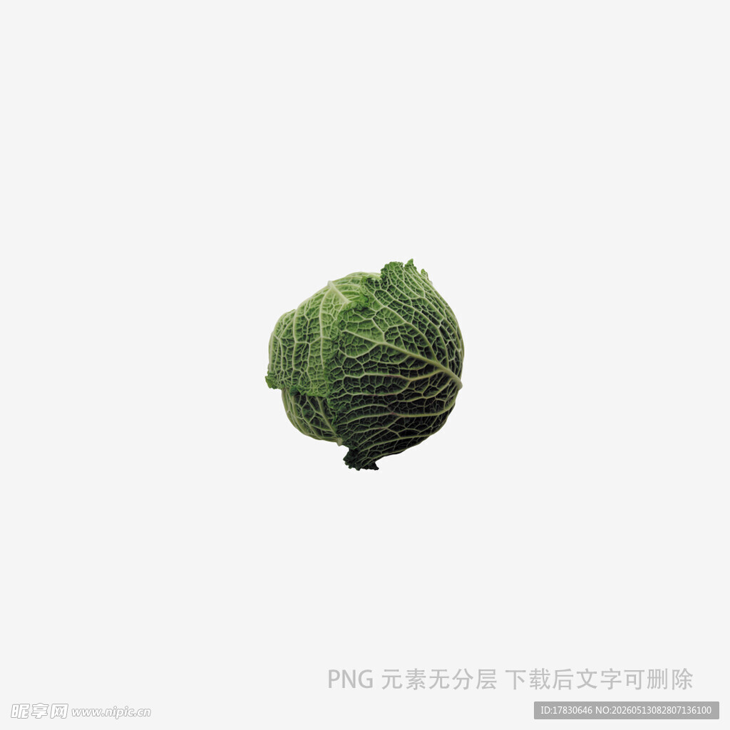一颗新鲜的绿色卷心菜