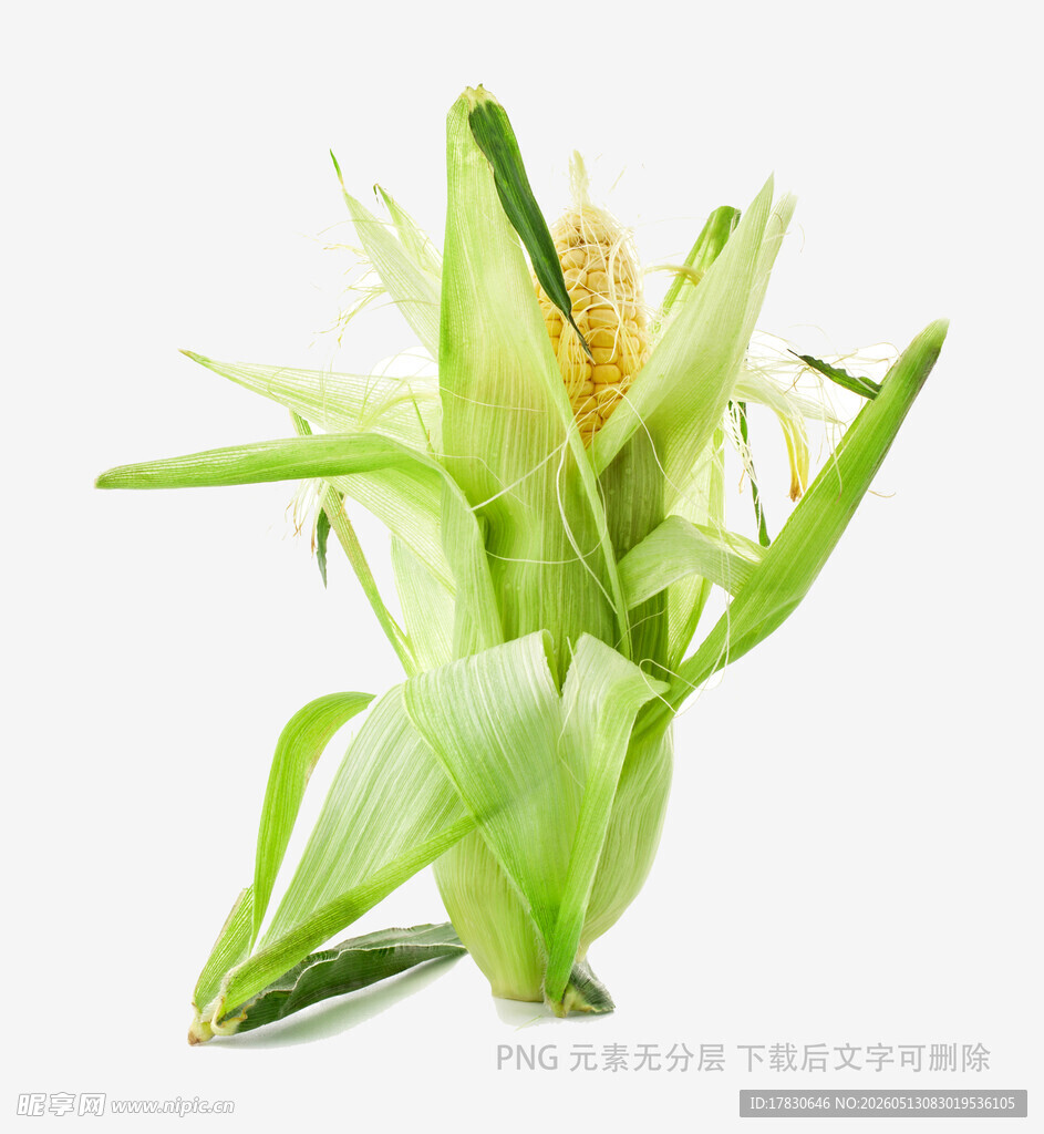 鲜嫩玉米棒