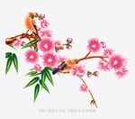 枝头绽放的烂漫粉色花朵