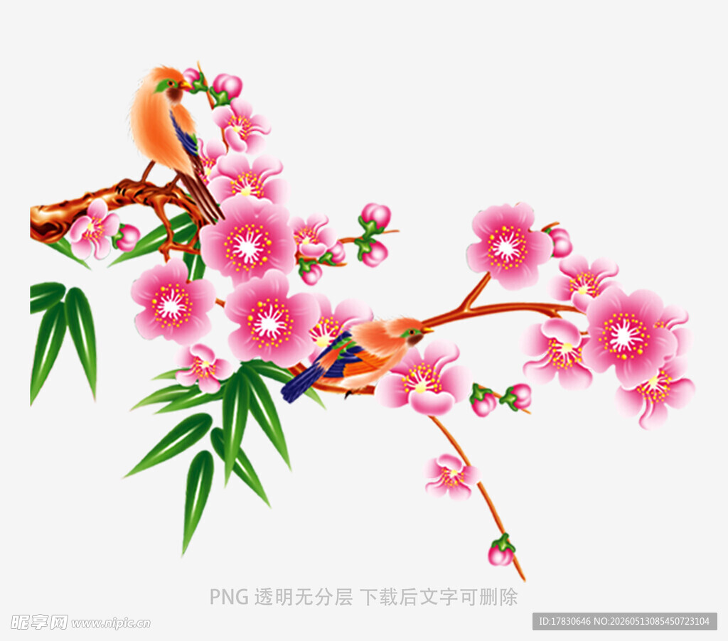 枝头绽放的烂漫粉色花朵