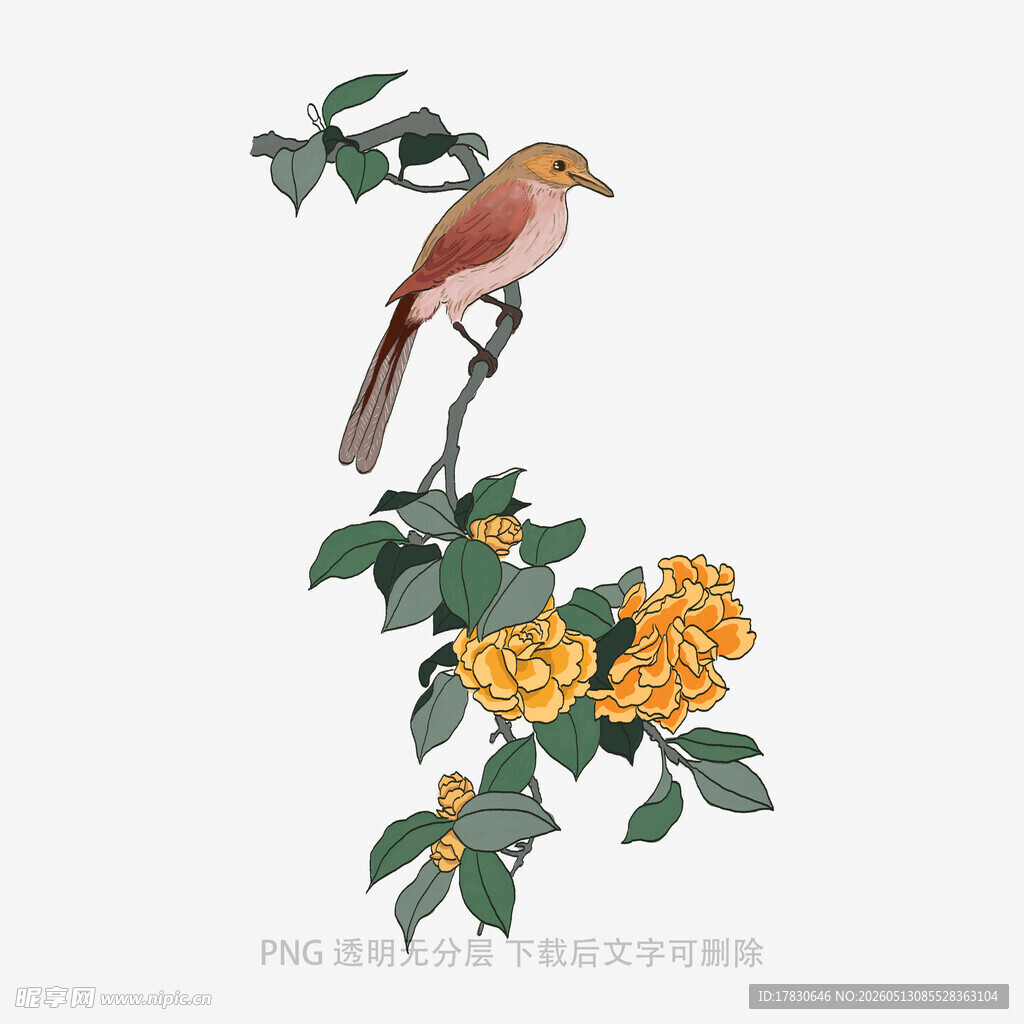 枝头小鸟伴繁花