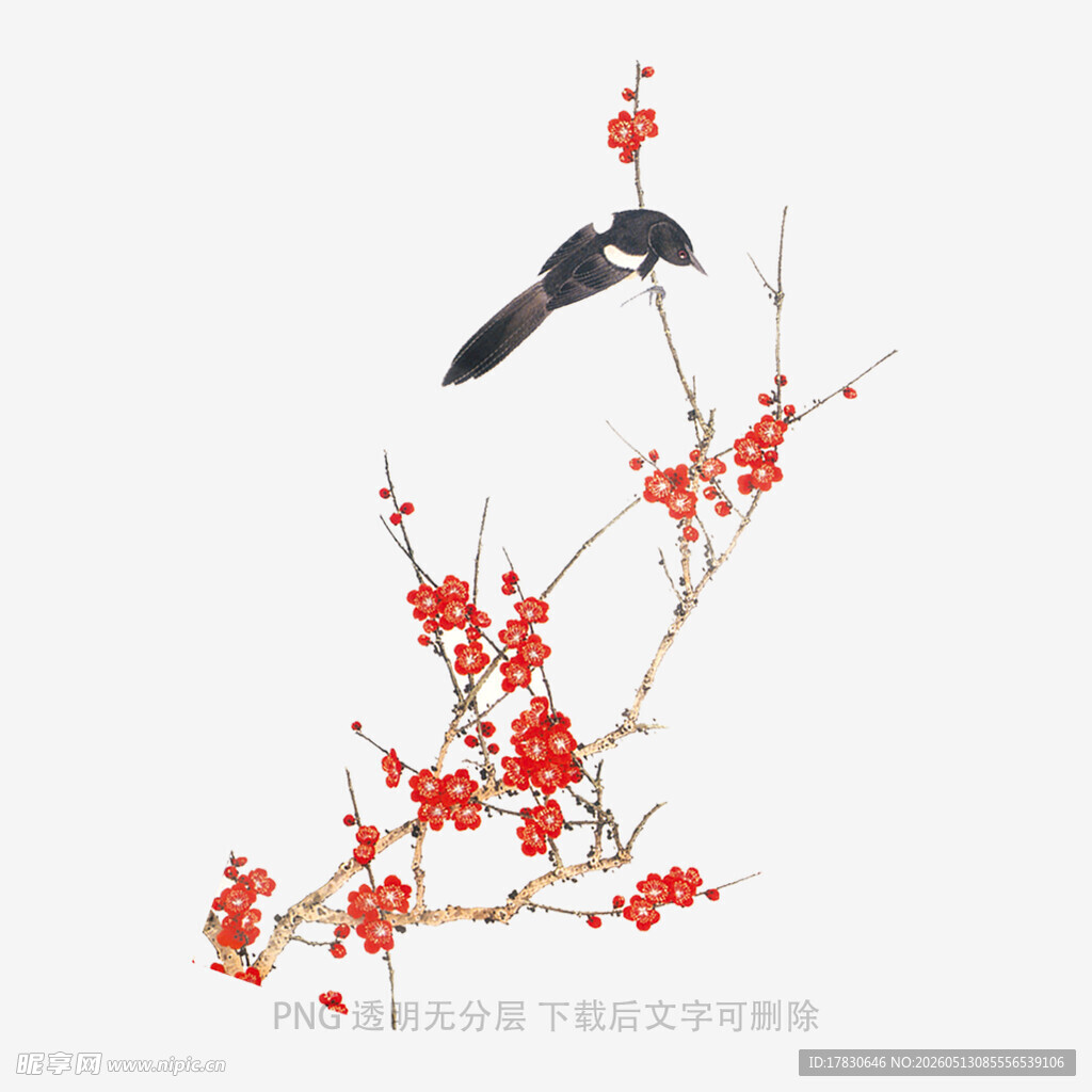 枝头喜鹊闹春景