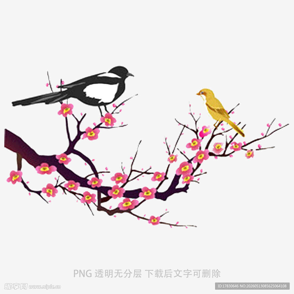 枝头双鸟赏繁花