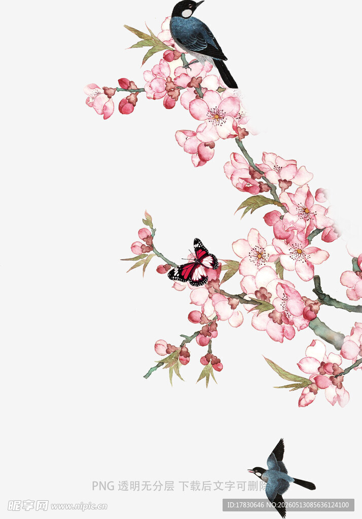 枝头鹊舞繁花添春韵