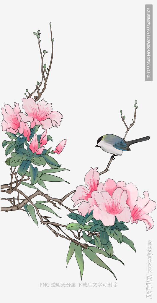 枝头花鸟图