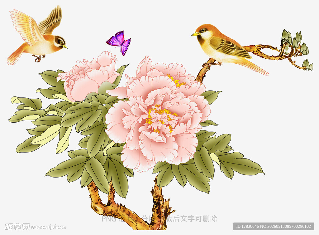 花鸟牡丹图