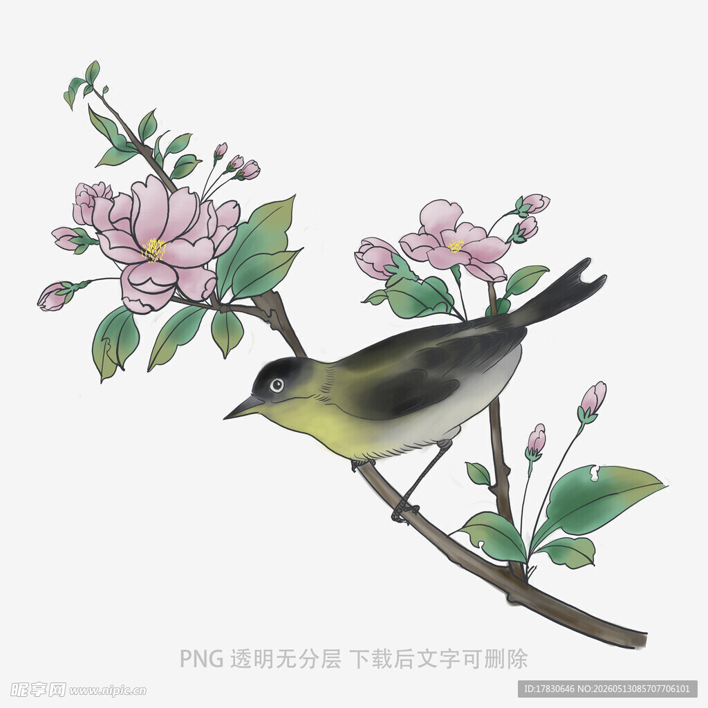 枝头小鸟伴繁花