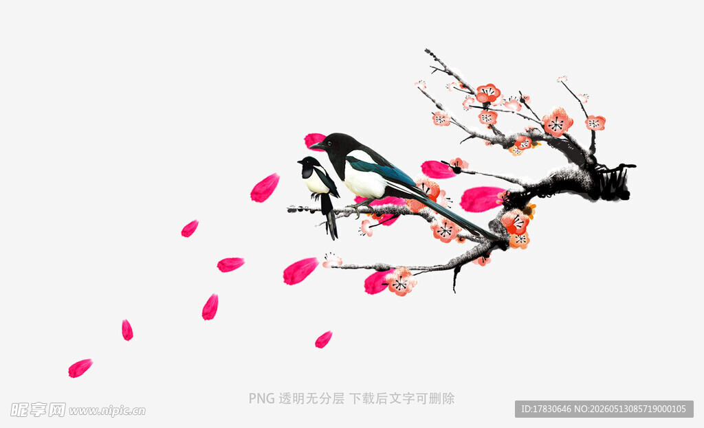 飘落的桃花枝