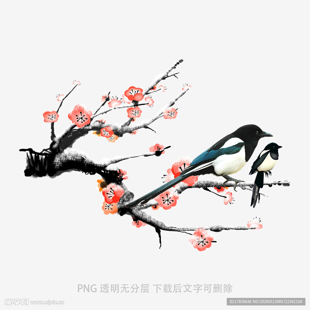 枝头喜鹊闹春