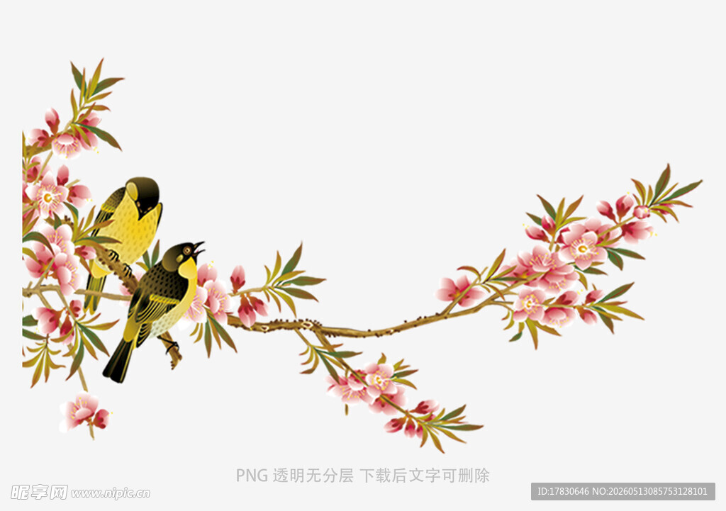 枝头双鸟伴繁花