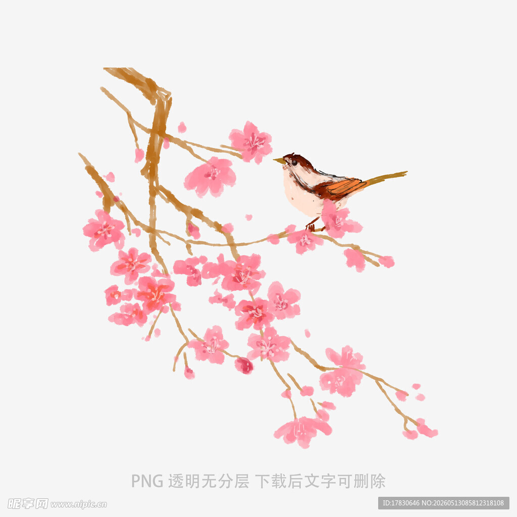 枝头双鸟伴繁花