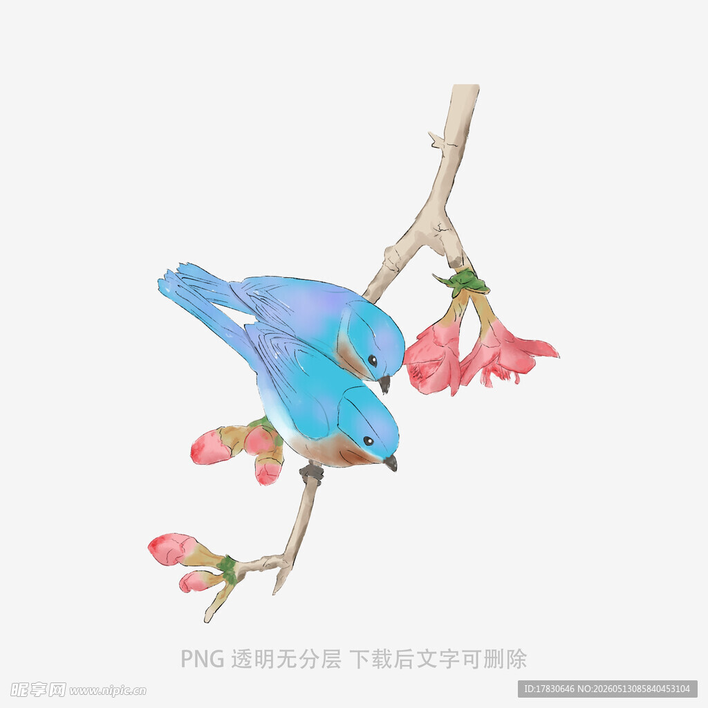 蓝鸟栖花枝