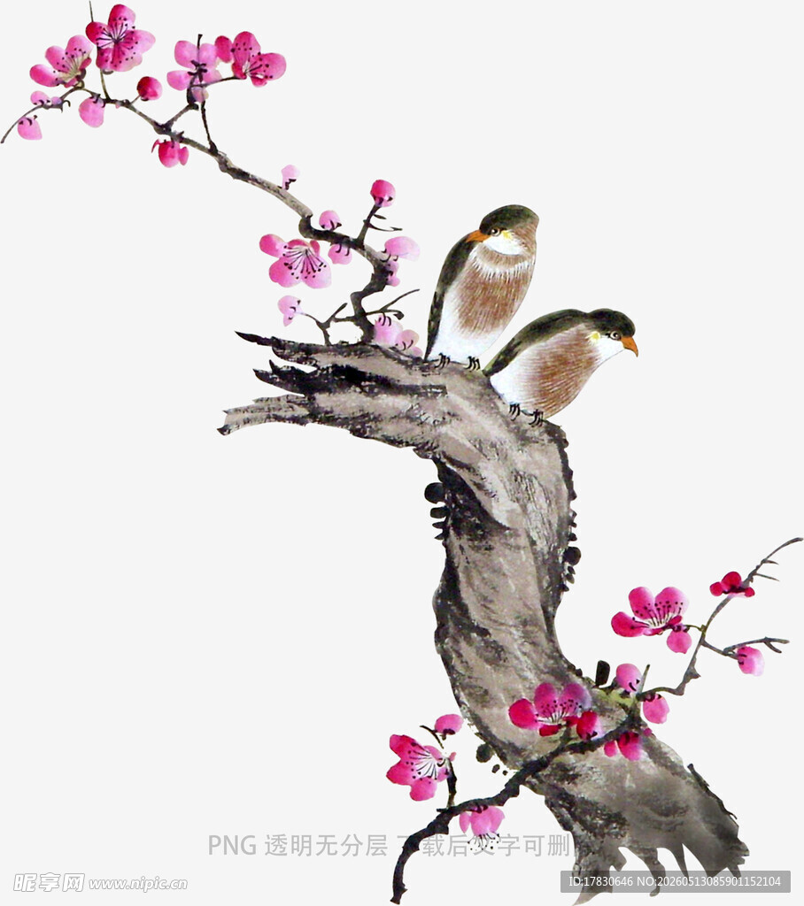 枝头双鸟伴繁花